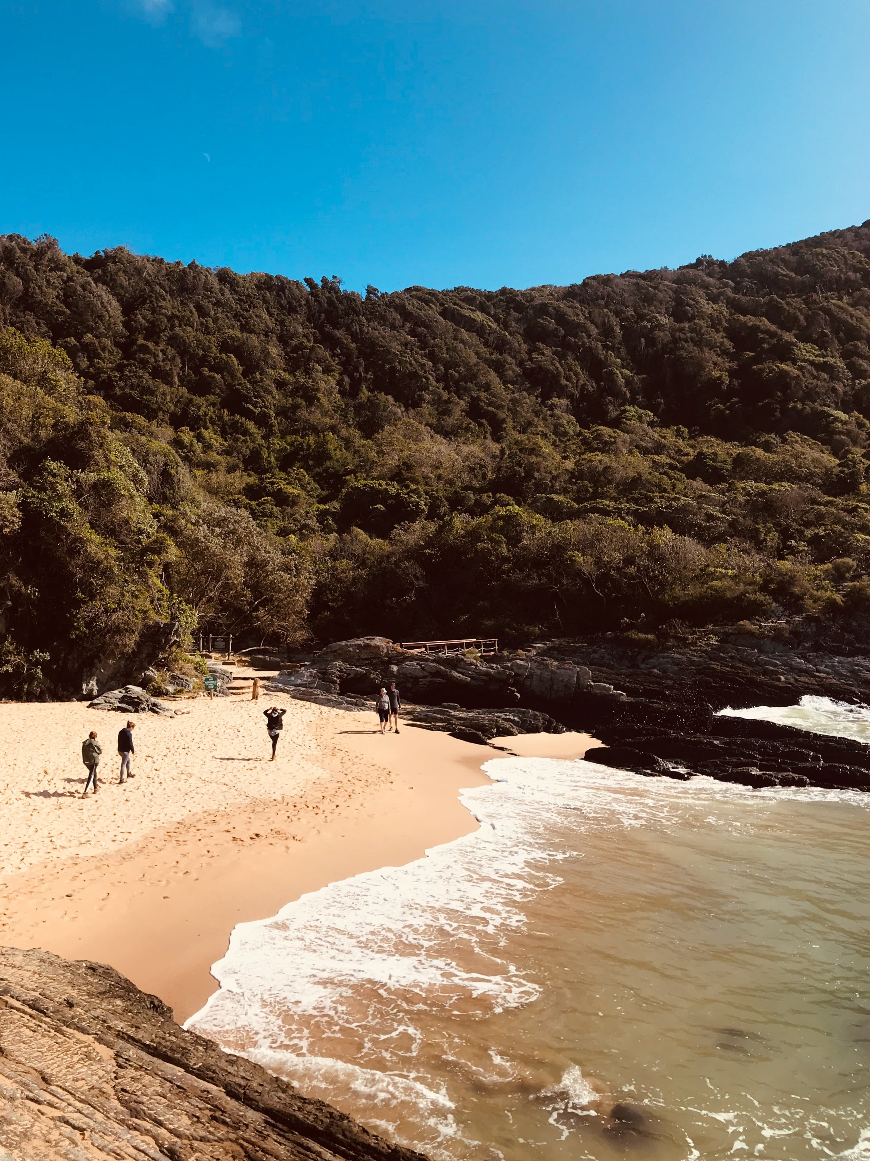 Tsitsikamma, South Africa, 2019